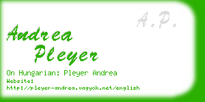 andrea pleyer business card